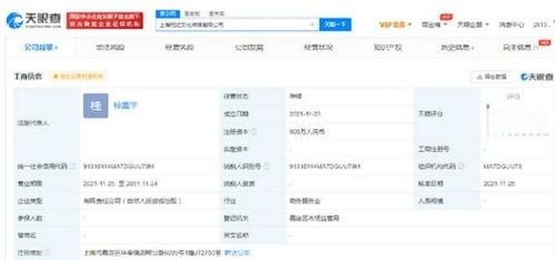 杨超越投资成立传媒公司 注册资本900万元